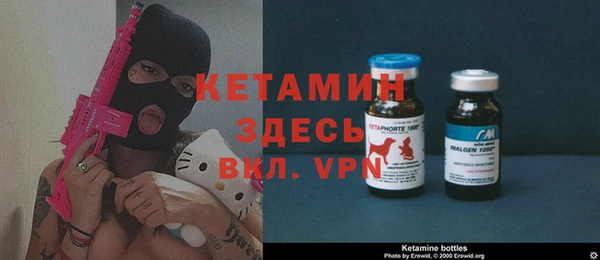 сатива Балахна