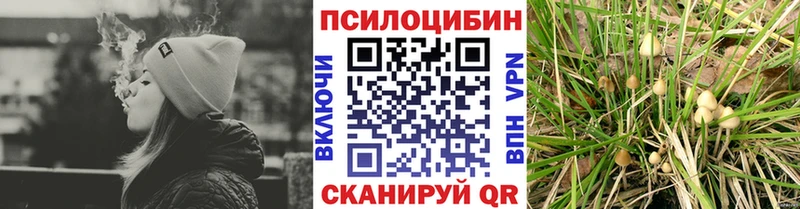 дарнет шоп  кракен ссылки  Галлюциногенные грибы Cubensis  Рассказово 